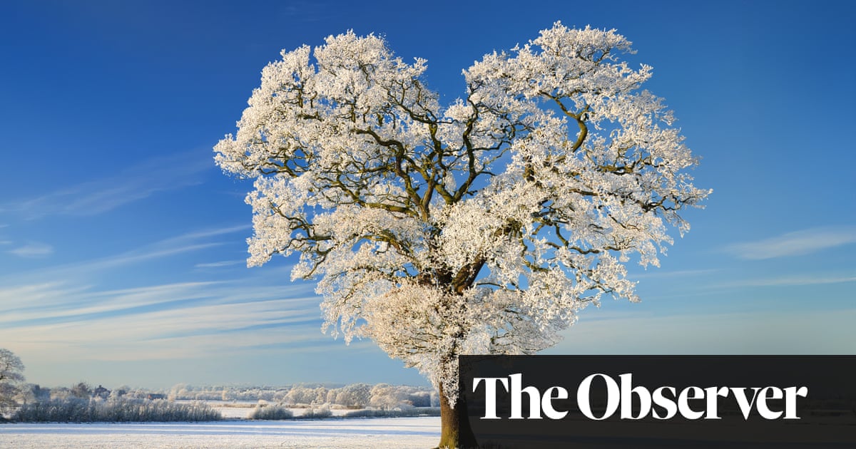 Winter wonder: Jeanette Winterson and others reveal why the cold has them under its spell