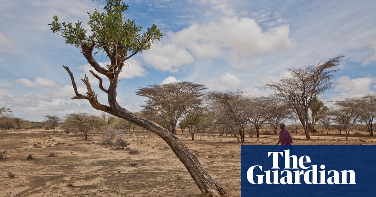 Drought puts 2.1 million Kenyans at risk of starvation - The Guardian