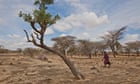 Drought puts 2.1 million Kenyans at risk of starvation