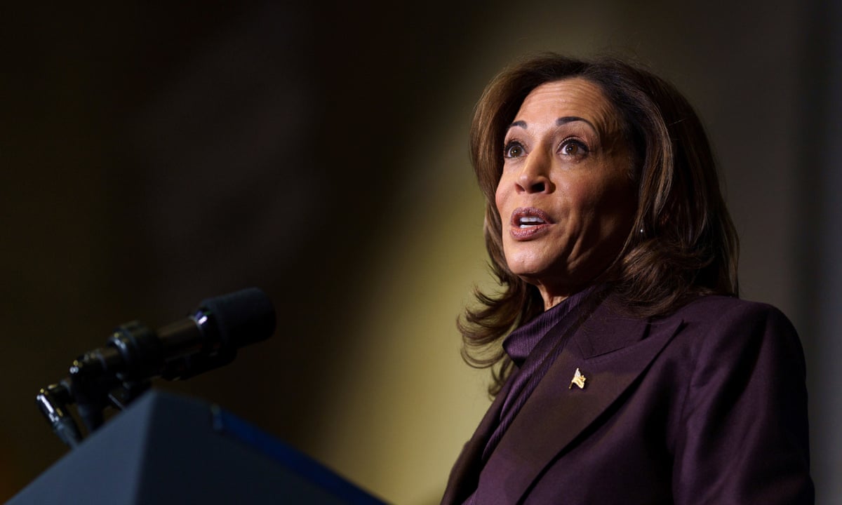 Democrats eye Harris 2028 presidential run as they devise political comeback | Kamala Harris | The Guardian