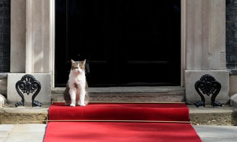 Larry, the Downing Street cat, is waiting for Joe Biden to arrive on the red carpet.