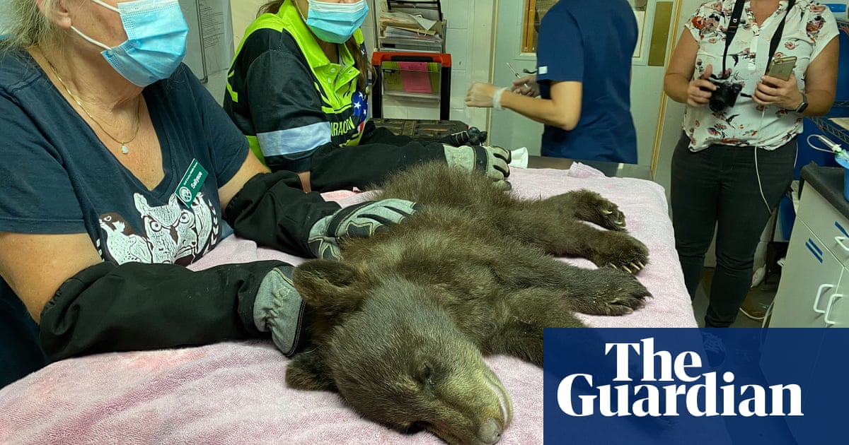 4032.jpg?width=1200&height=630&quality=8