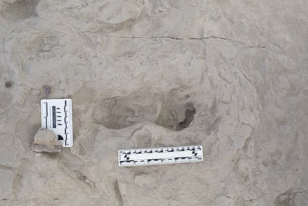 A fossilised footprint with rulers placed alongside to take measurements