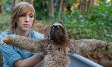 The Sloth Conservation Foundation’s Becky Cliffe, and brown-throated sloth