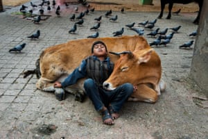 Vaca e menino descansam juntos perto da Praça Durbar, em Kathmandu.