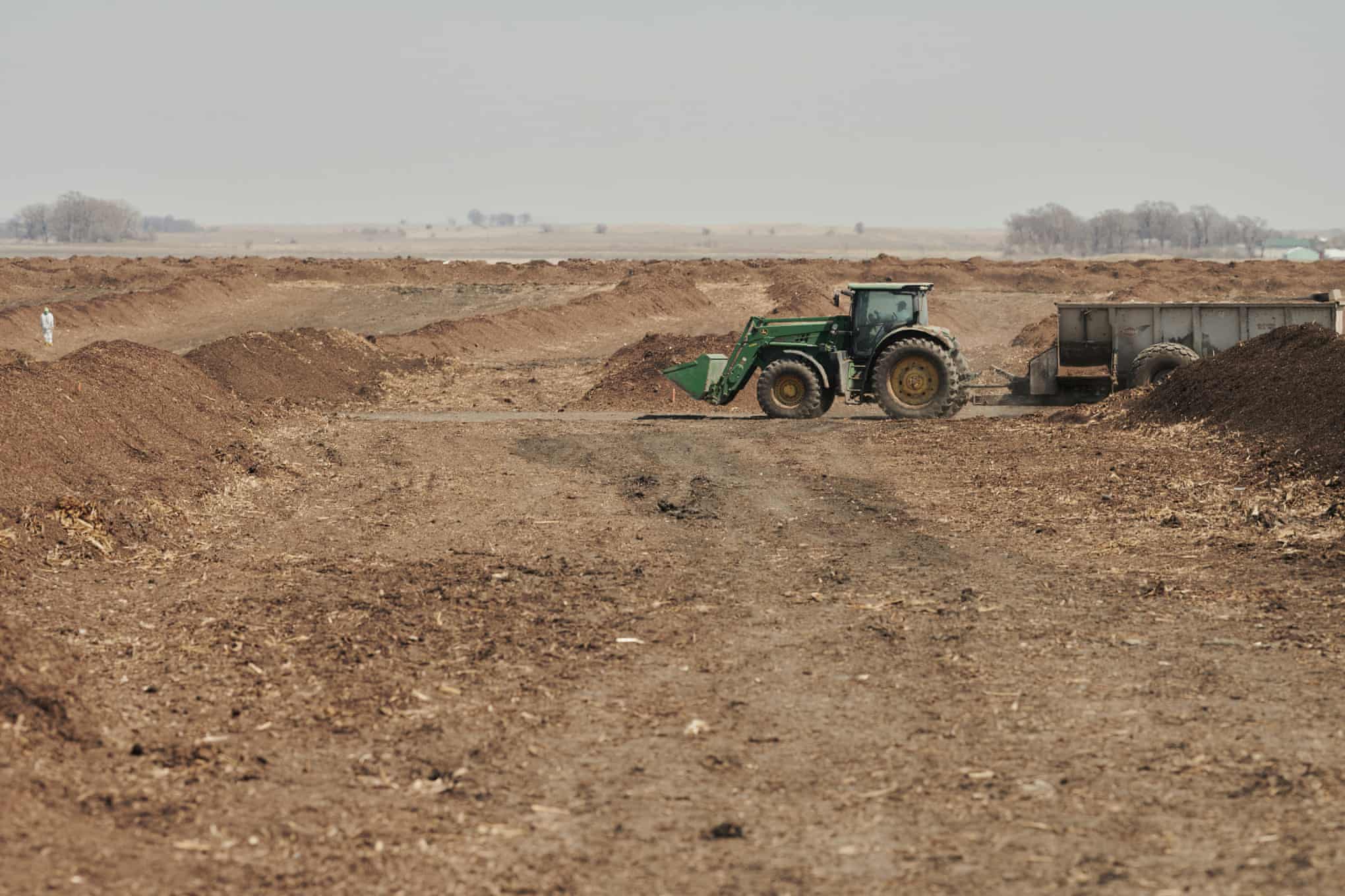 US egg factory roasts alive 5.3 million chickens in avian flu cull – then fires almost every worker (theguardian.com)