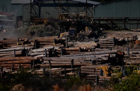 Herons Creek Timber Mill near Kew
