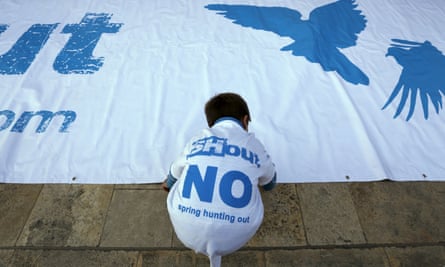 A boy arranges a banner on the ground during a Spring Hunting Out rally in the run-up to a referendum last year that narrowly rejected banning the event