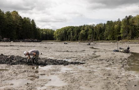 Http in the mud