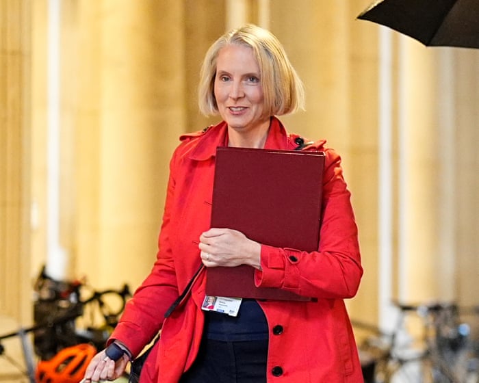 New planning bill could jeopardise UK’s trade deal with EU, ambassador warns