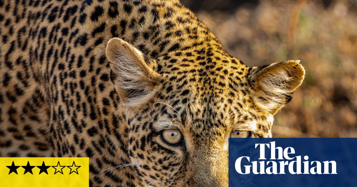 Kingdom review – David Attenborough never fails to make nature awe-inspiring