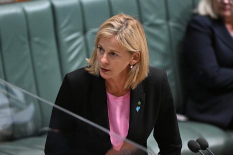 The shadow environment minister, Angie Bell.