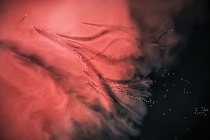 Marco Gaiotti (Italy), Life connected Mars