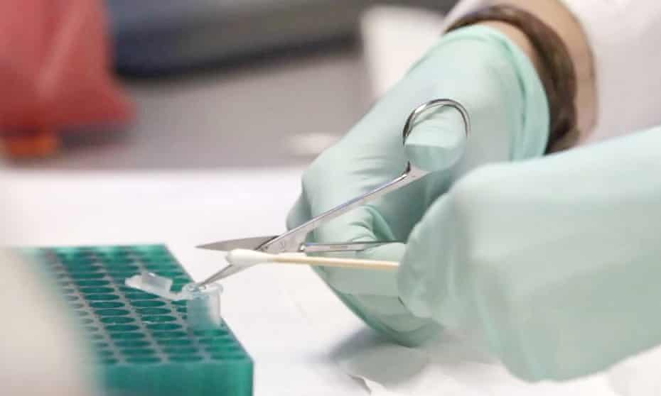 DNA samples are tested in a lab