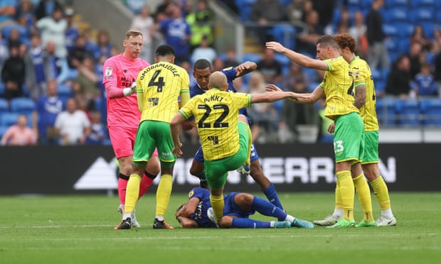 Tempers flare between Cardiff’s Andy Rinomhota and Norwich’s Teemu Pukki