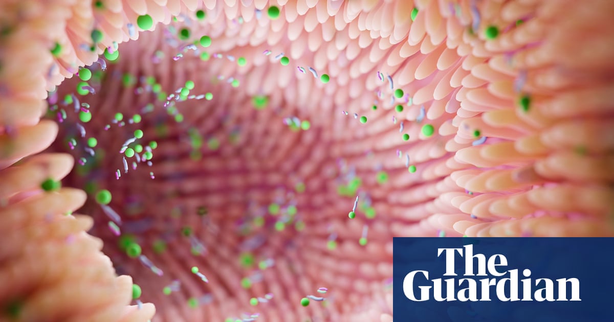Study Reveals Less Diverse Gut Bacteria in Residents of UK’s Most Impoverished Areas Study Reveals Less Diverse Gut Bacteria in Residents of UK’s Most Impoverished Areas