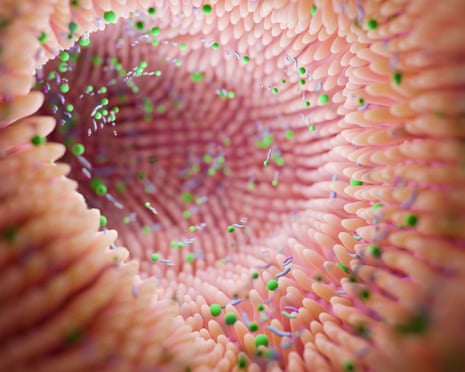 Анализ микробиома кишечника