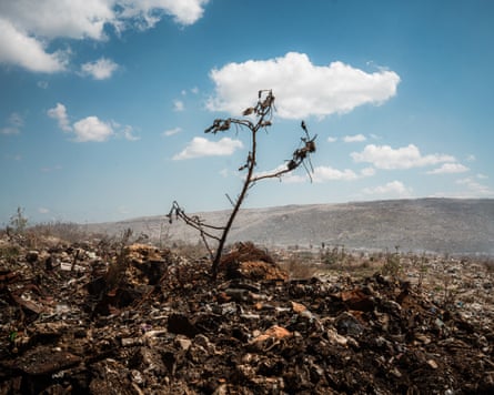 A dead branch emerges from the middle of a rubbish-strewn landscape