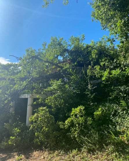 The 100-year-old oak that smashed into the side of the Airbnb property James and Andrew were staying in Provence