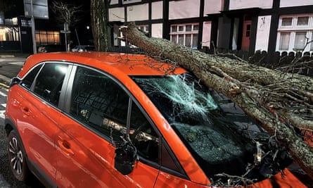 A tree branch fallen on a car on Lisburn Road in Belfast.