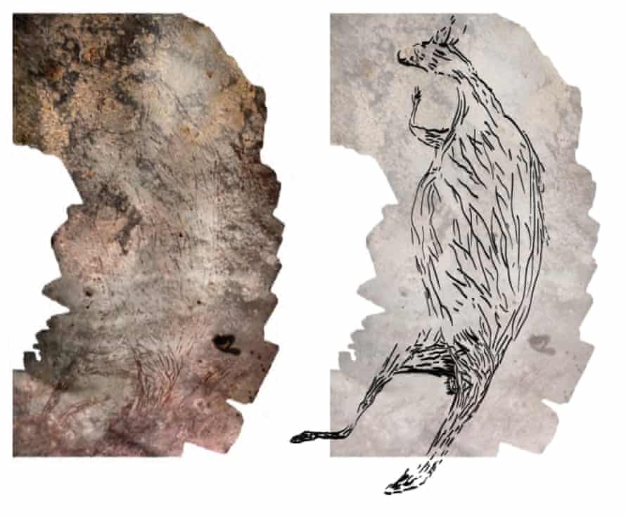 17 300 Year Old Kimberley Kangaroo Recognised As Australia S Oldest Rock Artwork Indigenous Art The Guardian 17 300 Year Old Kimberley Kangaroo Recognised As Australia S Oldest Rock Artwork Indigenous Art The Guardian