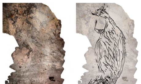A montage of 39 photographs of the 17,300 year old kangaroo with an accompanying illustration.