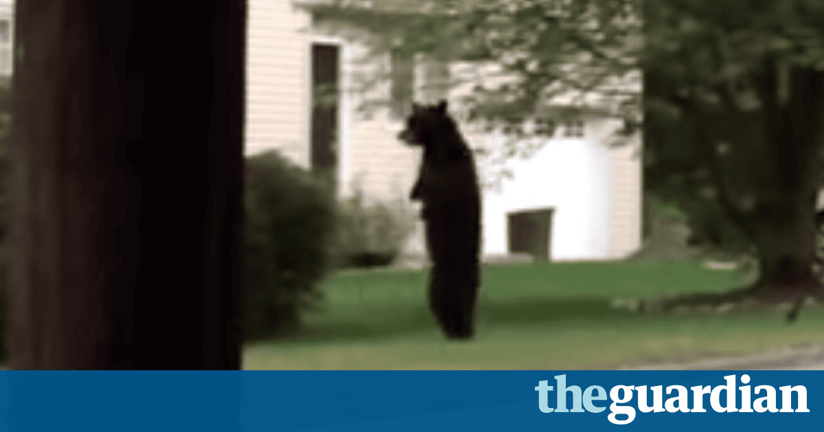 Get Dc5m United States Events In English Created At 2016 10 19 03 46 For iPhone Get Wallpaper Dc5m United States Events In English Created At 2016 10 19 03 46 Free HD