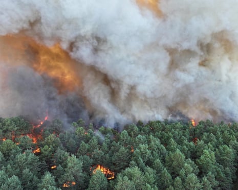 A fire raging in Fontainebleau Forest in Noisy-sur-École, France.
