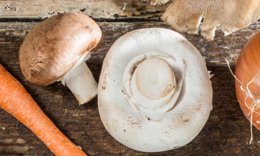 Mushrooms, carrot and onion