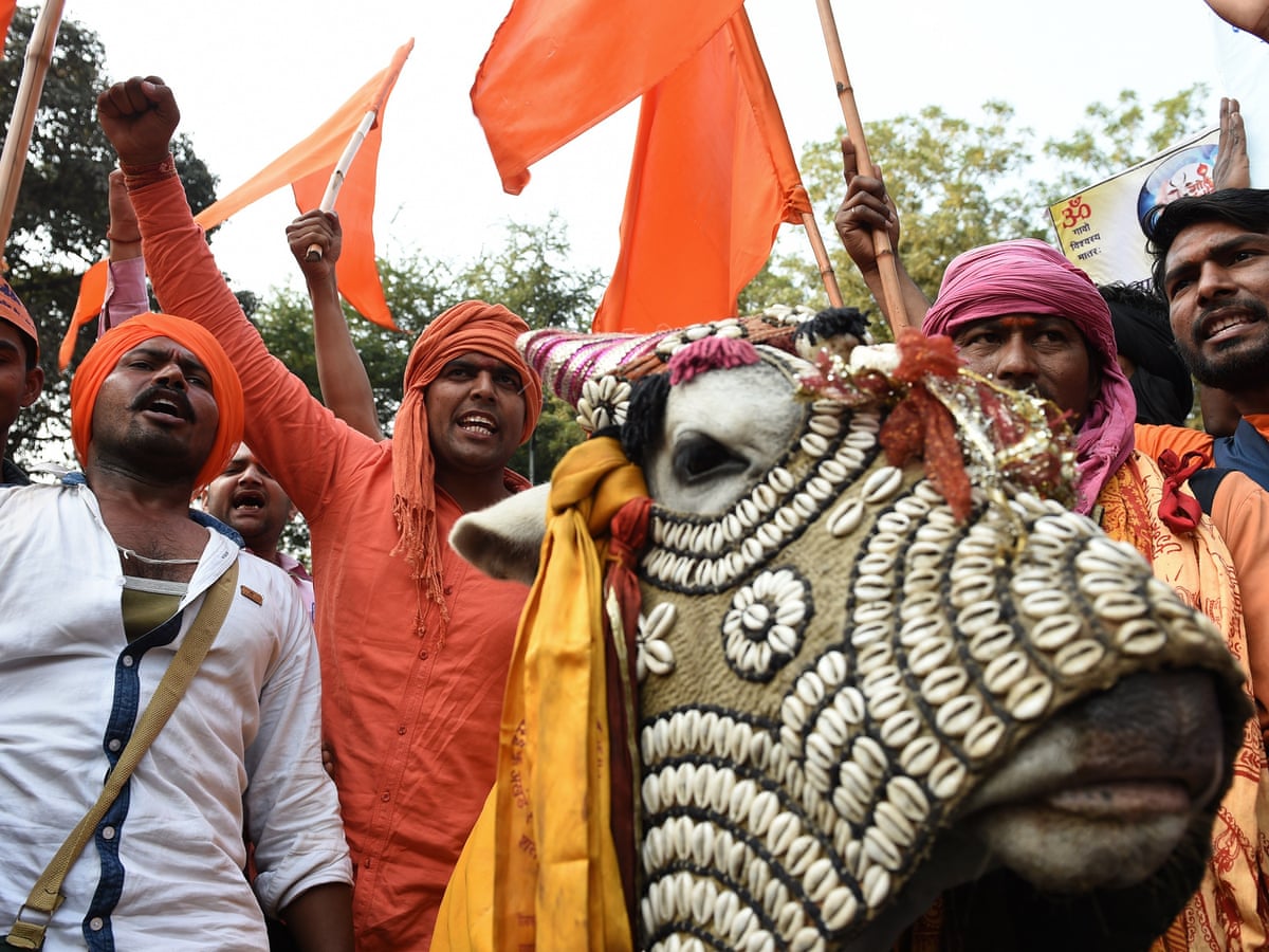 On patrol with the Hindu vigilantes who would kill to protect India's cows | India | The Guardian