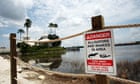 Disney alligator attack: father tried to wrestle son's head from animal's jaws