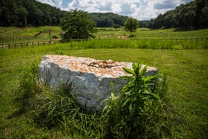 Elephant grave at the Elephant Sanctuary, Hohenwald.