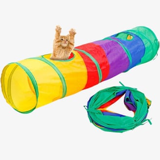 Your indoor cat is bored. Here are toys and tools to fix that | cats 1000