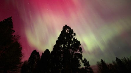 A bright red and yellow sky behind a silhouette of trees