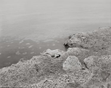 Two people lie by the seashore