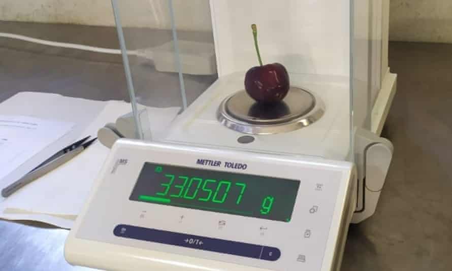 world’s biggest-ever cherry