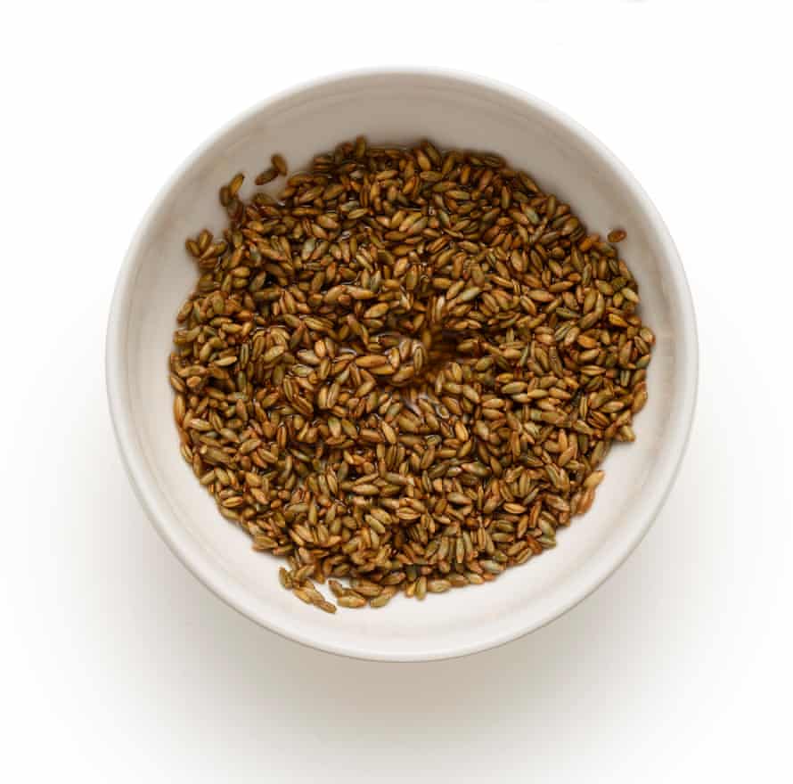 soak rye kernels successful boiling h2o and permission 30 minutes.