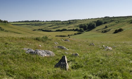 A general view of the Valley of Stones in west Dorset.