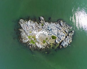 Rat Island, 2023