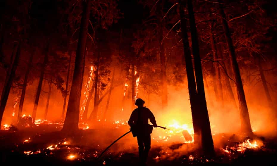 A fireman uses a hose to keep fire from burning up a tree in the Sequoia National Forest in California in August 2021.