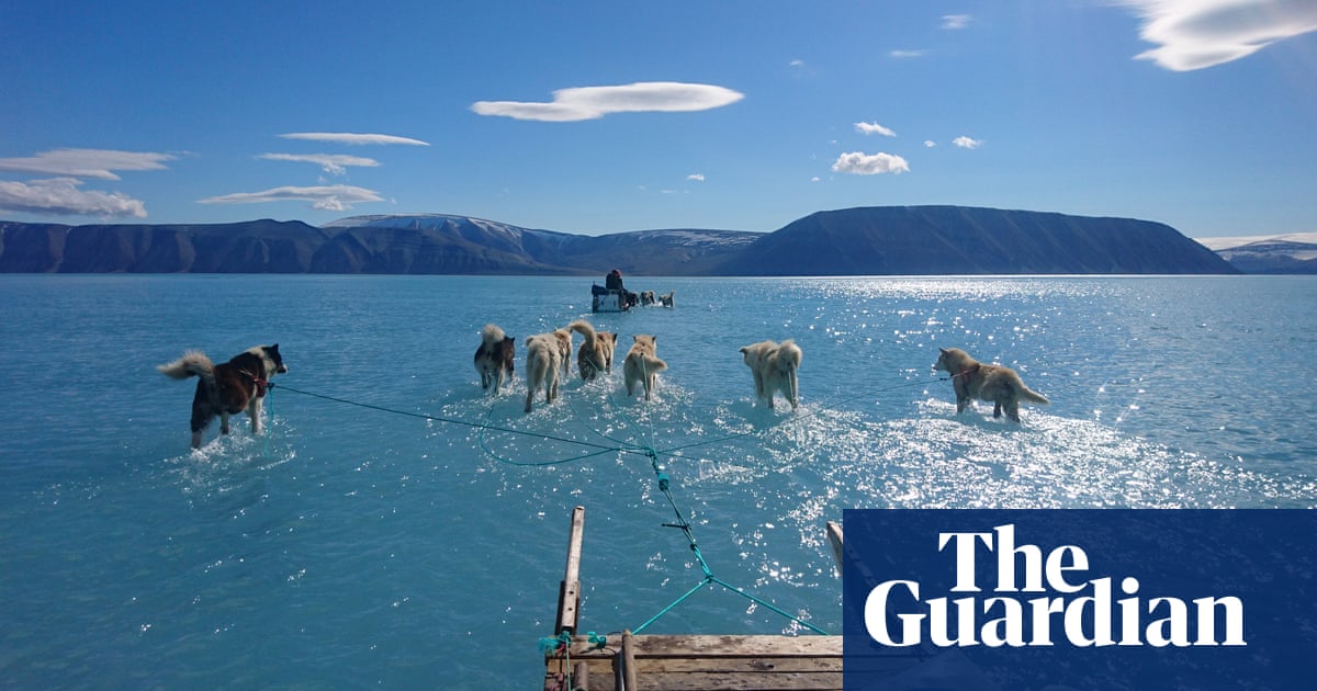 How Guardian editors are making the climate emergency a focus