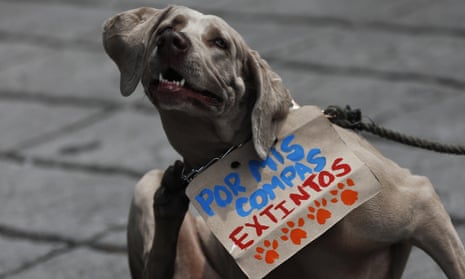 “For my extinct friends” reads this Mexico City dog’s sign.
