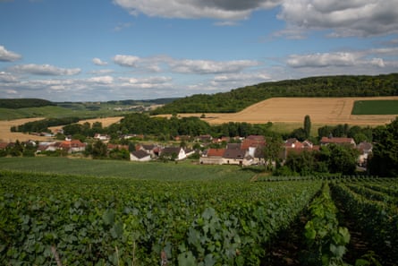 A view over grape vines to a village in a valley surrounded by fields.