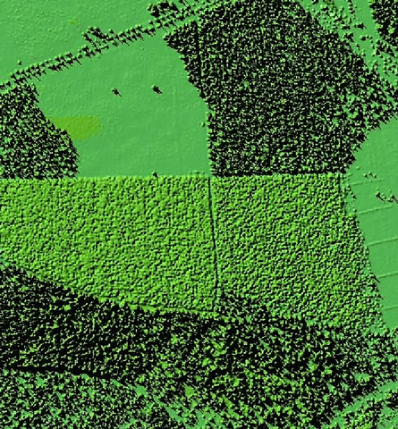 A Lidar image of part of Thetford forest in the UK. The stands of different tree height can be distinguished, and roads lined by trees are visible.