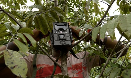 A Ka’apor Indian sets up a trap camera in an area used by illegal loggers.