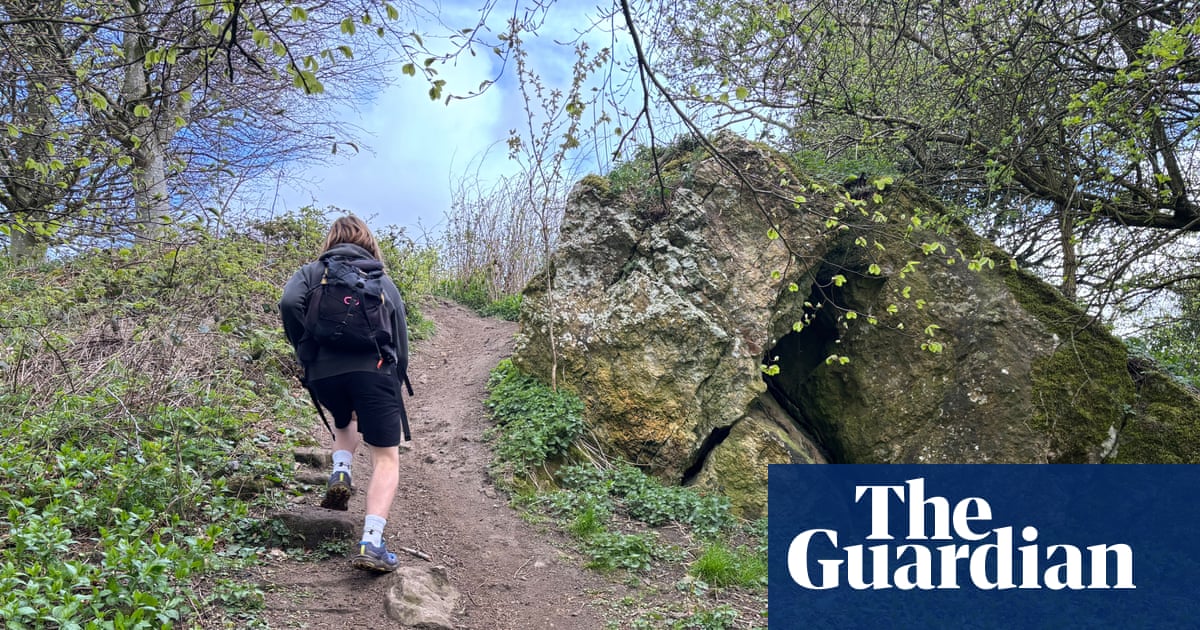 Country diary: Welcome to the hill where anything, it seems, can happen | Amy-Jane Beer