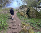 Country diary: Welcome to the hill where anything, it seems, can happen | Amy-Jane Beer