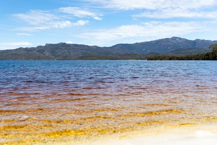 A view of Teds Beach and Lake Pedder.