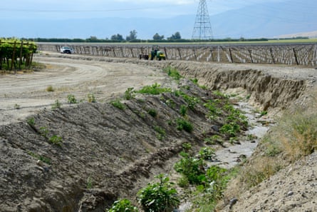 A water canal used for irrigation running along a newly planted vineyard is nearly dry, near Bakersfield, California, 6 April 2015.