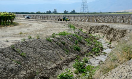 A water canal used for irrigation running along a newly planted vineyard is nearly dry.